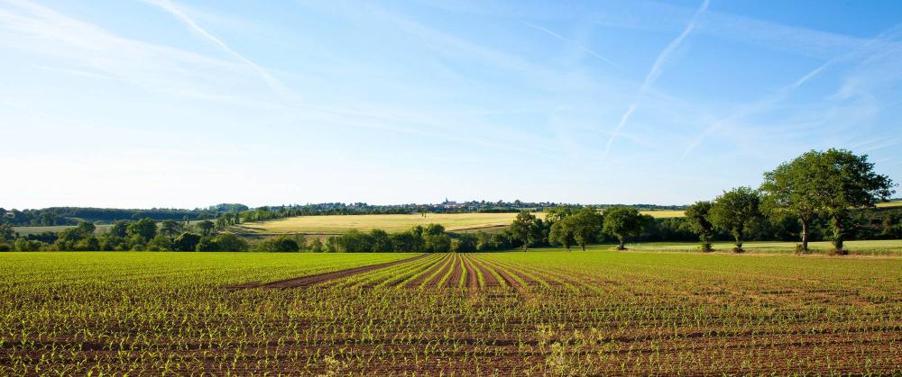Travaux agricoles avec restructuration de terrain avant plantations à Brignoles